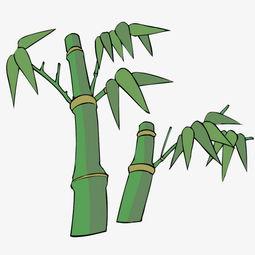 成人吃竹子的视频动画,成人吃竹子的趣味动画揭秘  第1张