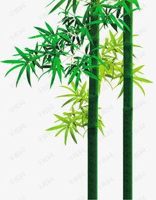 成人吃竹子的视频动画,成人吃竹子的趣味动画揭秘  第3张