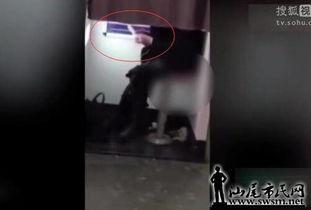 大便视频成人,成人视角下的肠道健康观察  第1张