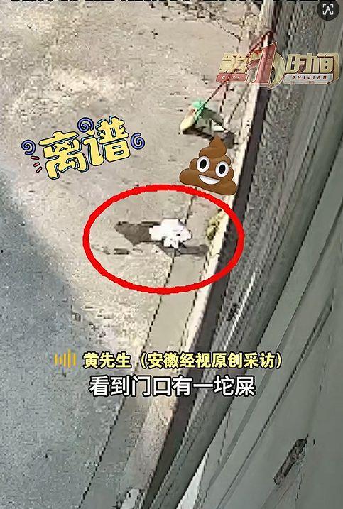 大便视频成人,成人视角下的肠道健康观察  第2张