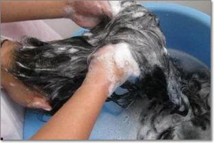 成人洗发视频在线观看,在线观看教学视频，轻松掌握护发秘诀  第1张