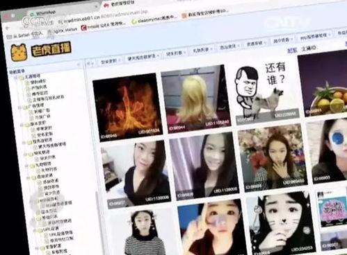 色非网成人播放视频,色非网独家视频内容解析  第1张