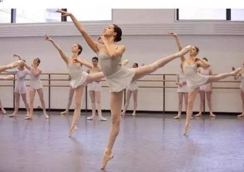 拉丁九儿成人舞蹈视频,跟随视频轻松入门  第1张