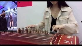 古筝视频成人教学大全集,成人古筝入门与进阶指南  第2张