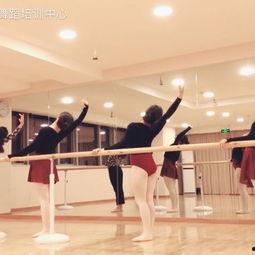 凤舞成人舞蹈视频大全  第3张