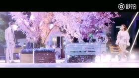 吻戏视频成人网站,揭秘热门吻戏视频背后的成人网站秘密  第1张